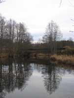 Bron över Svartån mellan Kvistbro och Gropen 2004 Rasmus Axelsson