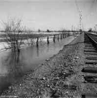 Banvallen mellan Östertysslinge och Gräveby våren 1951. - klicka för att förstora