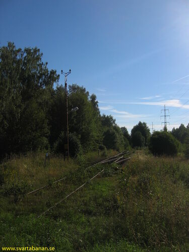 Växlarna vid Bista den 15 augusti 2005. - klicka för att förstora