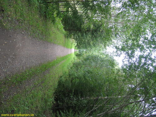 Banvallen mellan Fjugesta och Gropen i riktning mot Gropen i september 2007. - klicka för att förstora Banvallen mellan Fjugesta och Gropen i riktning mot Gropen i september 2007. - klicka för att förstora