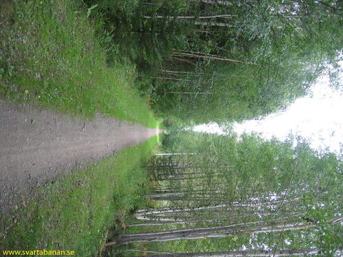 Banvallen mellan Fjugesta och Gropen i riktning mot Fjugesta i september 2007. - klicka för att förstora Banvallen mellan Fjugesta och Gropen i riktning mot Fjugesta i september 2007. - klicka för att förstora