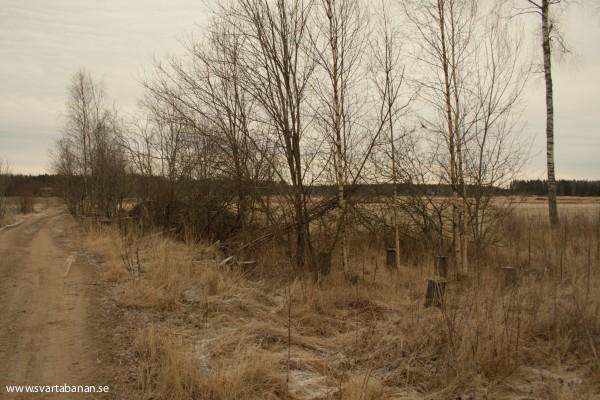 Rester av plattformen och plintarna till hållplatskuren vid Ingvaldstorp den 23 januari 2008. - klicka för att stänga rutan
