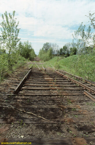 Södra växeln i Latorpsbruk den 28 maj 1991. - klicka för att förstora