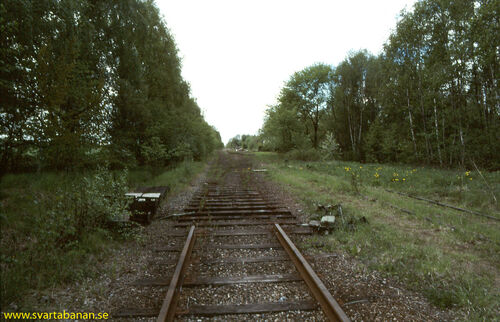 Bangården i Latorpsbruk den 28 maj 1991. - klicka för att förstora