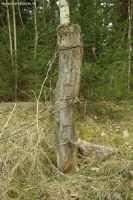 Stängselstolpe mellan Fjugesta och Gropen den 11 april 2008. - klicka för att förstora