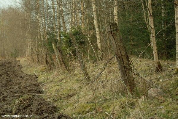 Stängselstolpar mellan Fjugesta och Gropen den 11 april 2008. - klicka för att stänga rutan
