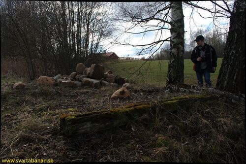 Rester av spår i Latorpsbruk den 14 april 2008. - klicka för att förstora