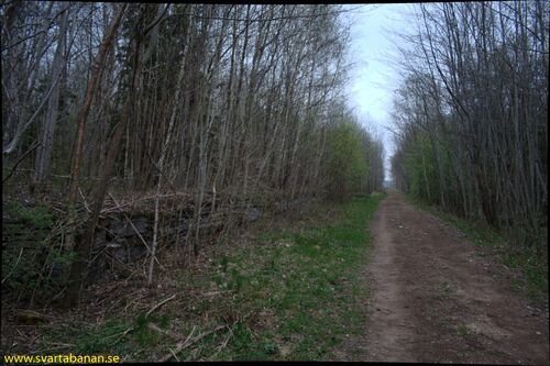 Lastkajen vid Lannabruk den 27 april 2008. - klicka för att förstora Lastkajen vid Lannabruk den 27 april 2008. - klicka för att förstora