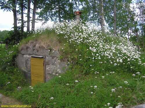 Kvistbro banvaktstugas jordkällare den 4 juli 2004. - klicka för att förstora