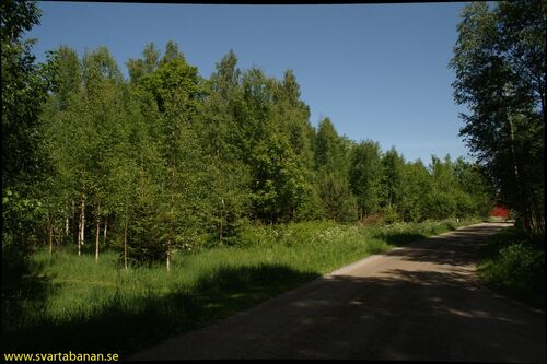 Bangården i Kvistbro den 30 maj 2008. - klicka för att förstora Bangården i Kvistbro den 30 maj 2008. - klicka för att förstora