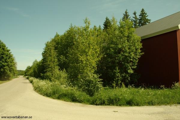 Utfarten från Kvistbro den 30 maj 2008. - klicka för att stänga rutan