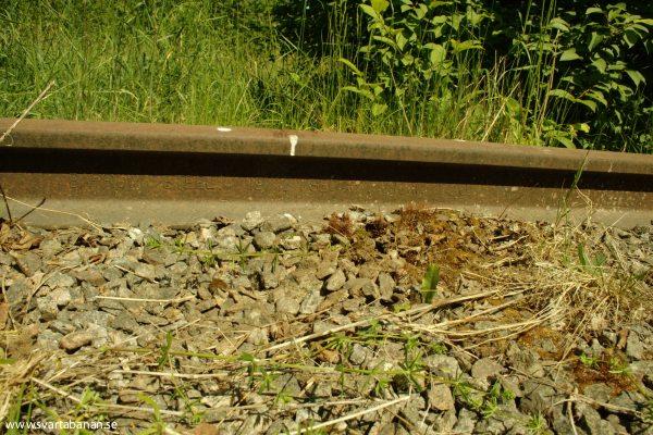 Räl vid Skråmsta den 3 juni 2008. - klicka för att stänga rutan