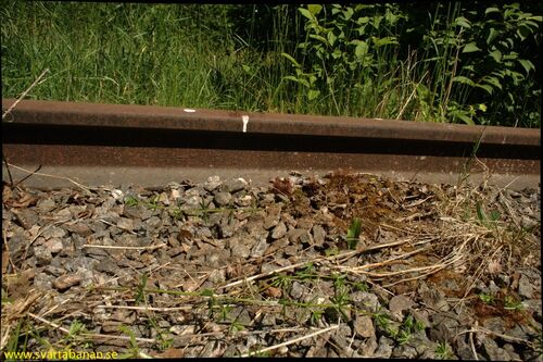 Räl vid Skråmsta den 3 juni 2008. - klicka för att förstora Räl vid Skråmsta den 3 juni 2008. - klicka för att förstora