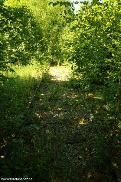 Spår vid Skråmsta den 3 juni 2008. - klicka för att stänga rutan