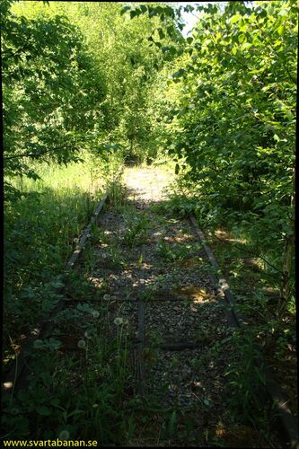 Spår vid Skråmsta den 3 juni 2008. - klicka för att förstora Spår vid Skråmsta den 3 juni 2008. - klicka för att förstora