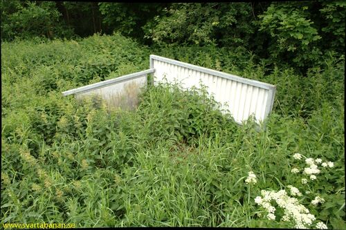 Den andra hållplatskuren vid Brånsta den 18 juni 2008. - klicka för att förstora Den andra hållplatskuren vid Brånsta den 18 juni 2008. - klicka för att förstora