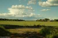 Banvallen i riktning mot Brånsta den 17 juni 2008. - klicka för att förstora