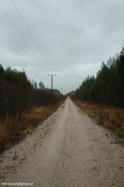 Banvallen efter industrispåret Garphyttan-Latorpsbruk den 14 november 2008. - klicka för att stänga rutan