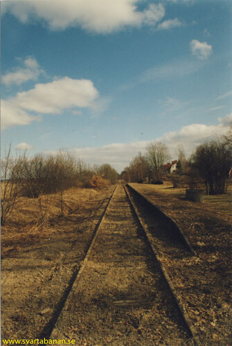 Lindbacka plattform 1999. - klicka för att förstora Lindbacka plattform 1999. - klicka för att förstora