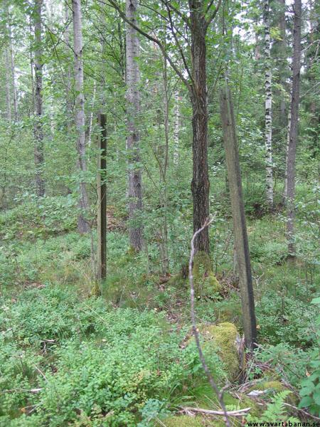 Stolparna som höll upp namnskylten vid Ängslättens hållplats den 12 augusti 2004. - klicka för att stänga rutan