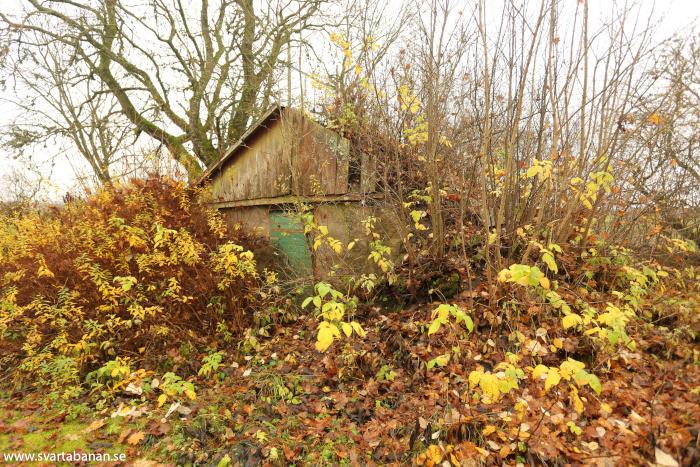 Jordkällaren vid Gräveby banvaktstuga den 8 november 2025. - klicka för att stänga rutan